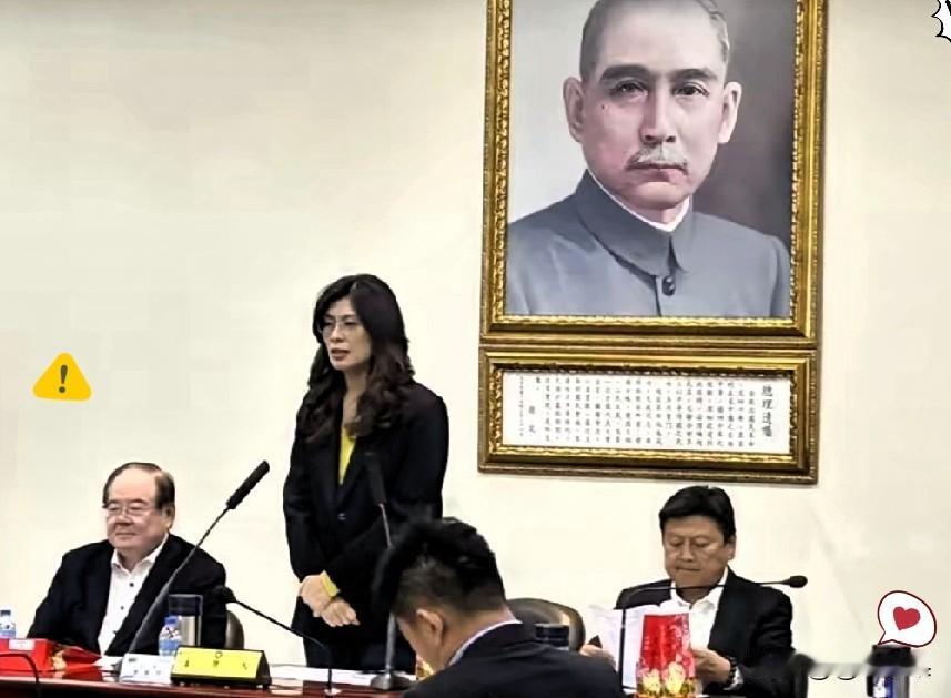 郑丽文一句“美国是恩人，大陆是亲人，我不能两个都选吗”，看似面面俱到，实则暴露了