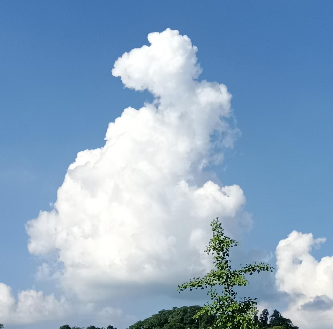 《夏云》
悠悠闲卧岫，冉冉漫登楼。
偶作奇峰势，还为薄縠流。
无心遮赤日，有意护