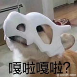 猪爱看国际