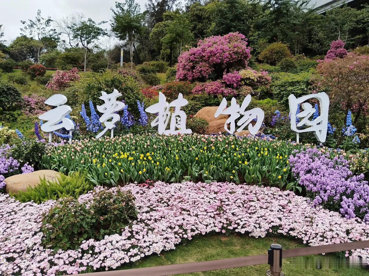 云萝植物园，初六遛百病人好多啊。本来想去的是云台花园，因为云萝植物园是新开的，大