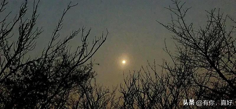 《七律   秋声幽思》
残星数点悬幽树，凉月清辉洒旧篱。
独步中庭愁暗涌，静听远