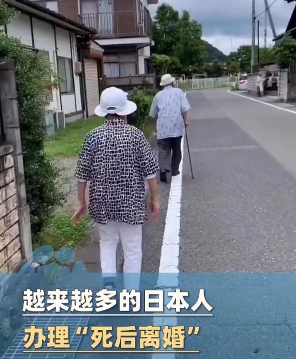 配偶死后离婚"：日本人算盘打得精，但亲情难道能算计？
不愿赡养配偶父母，理由很现