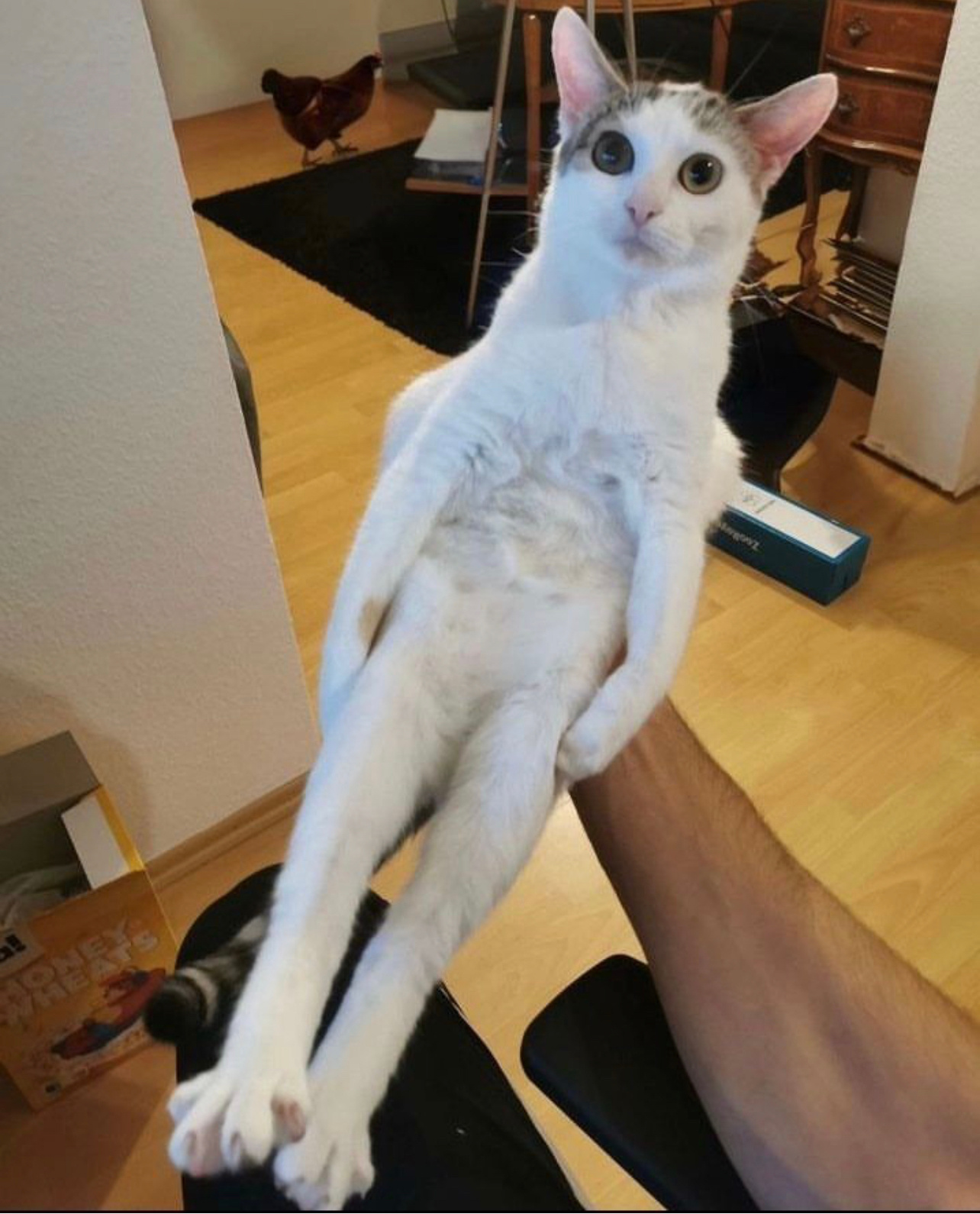 这个给你 ​​​