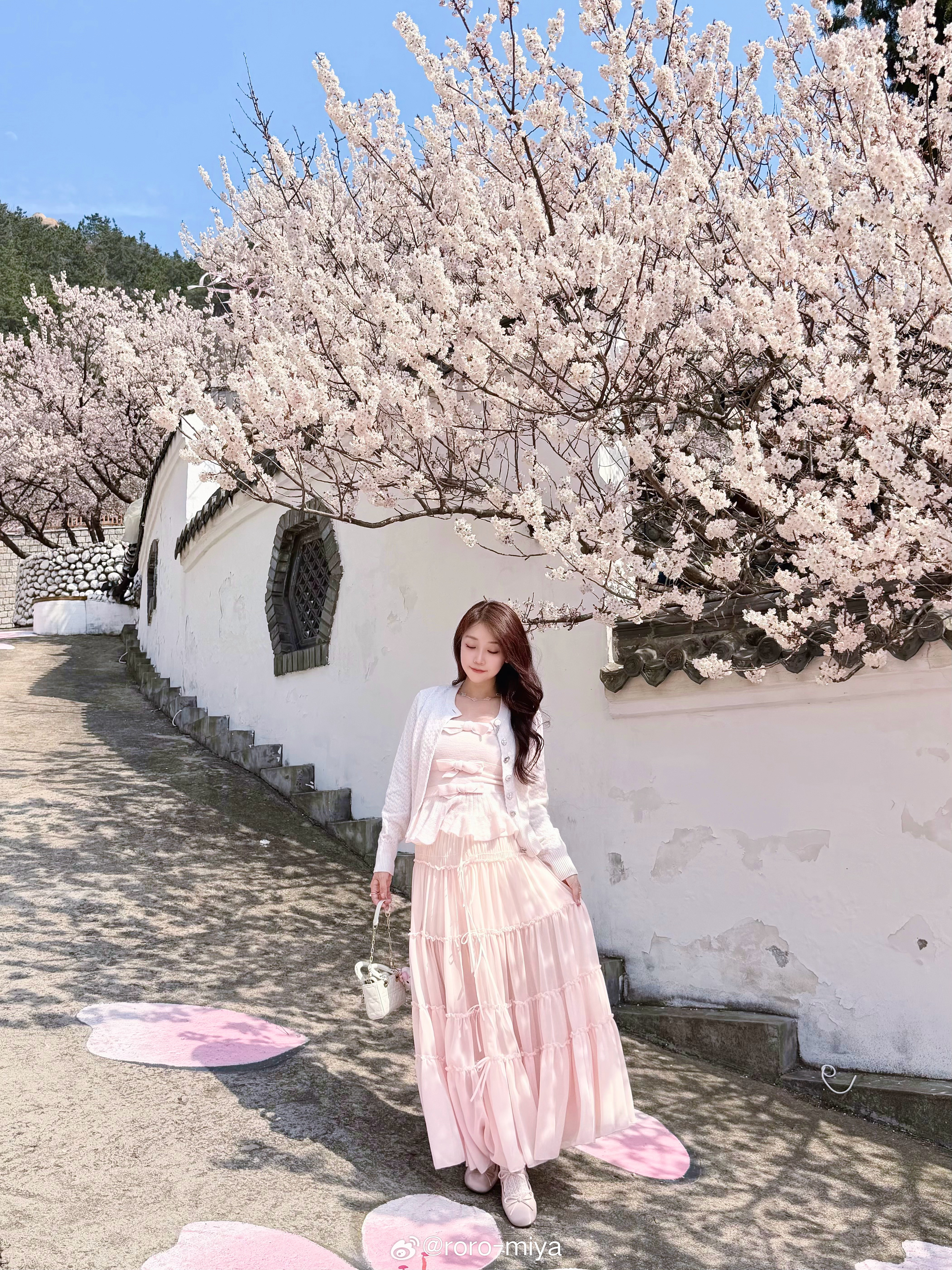 🌸春日限定 樱桃花盛开今日我最美 青岛·拾贰玥·山涧绘馆