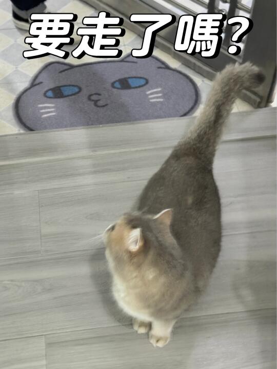 依依不捨？