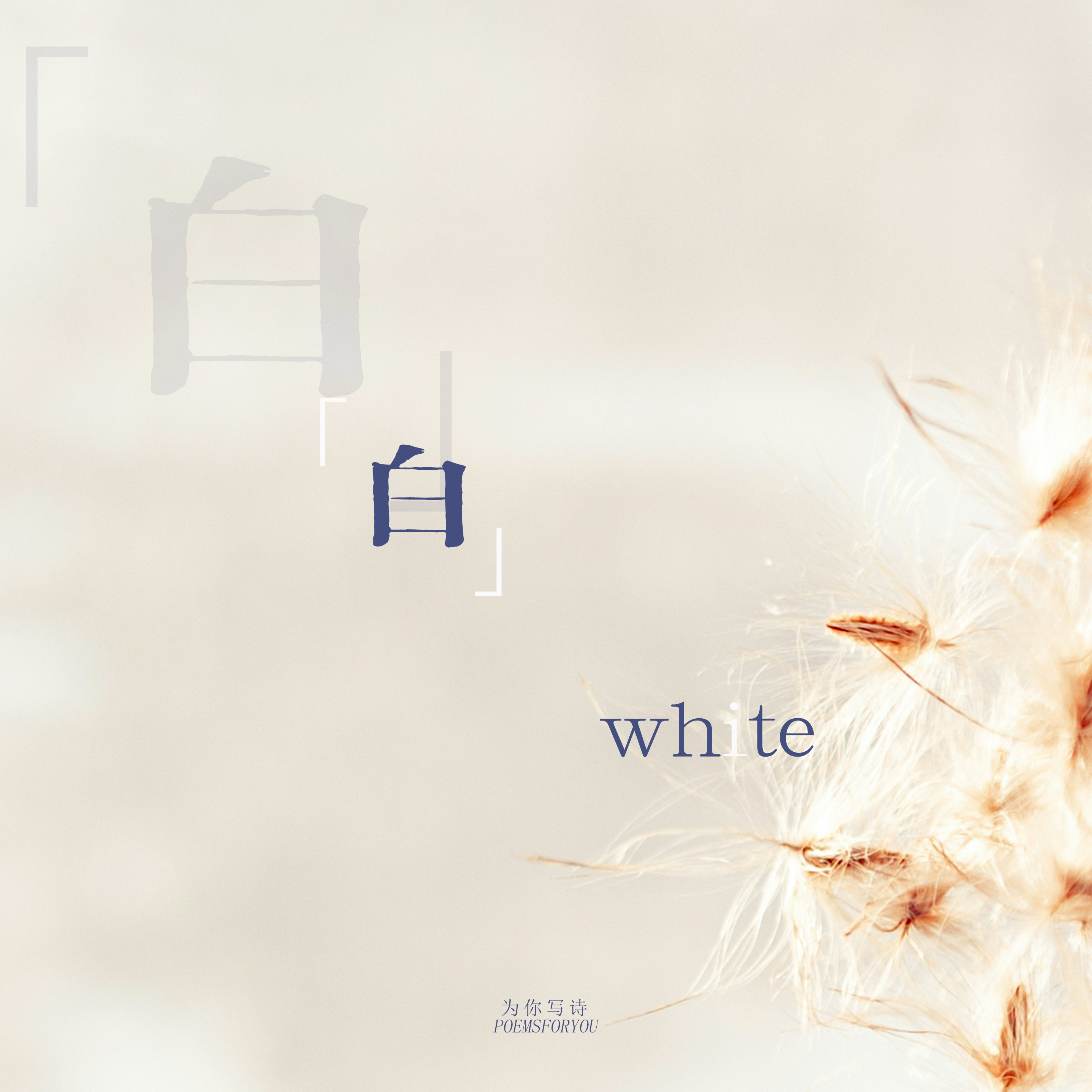 在读韩江的作品《白》时，曾经听她介绍韩语里的两种“白色”，一种是棉花糖一样的白，