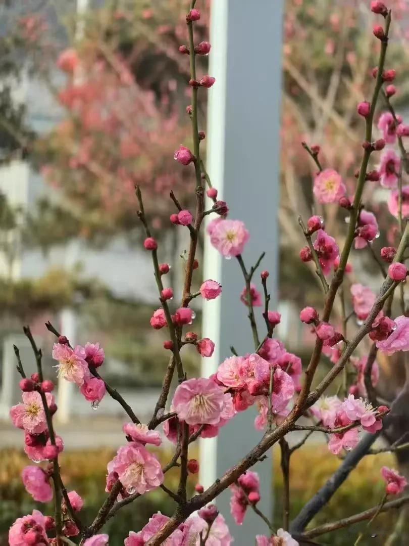 不去在意什么心灵鸡汤、毒鸡汤之类的，那些只要能触动自己的灵魂，能让自己深陷泥潭中