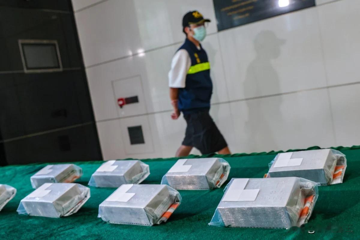 香港海关查获20年以来最大铂金走私案，货值高达1000万港元。

根据海关公布的