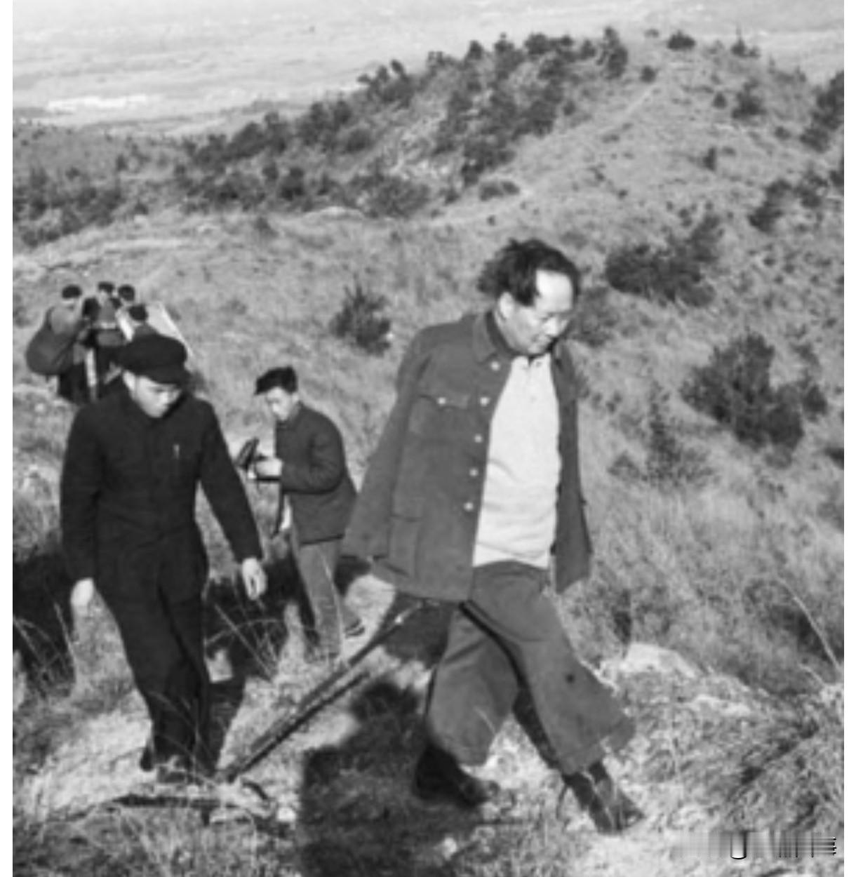 1954年，毛泽东登杭州北高峰，手持竹杖，步履稳健，展现领袖登山健身、思考国事的