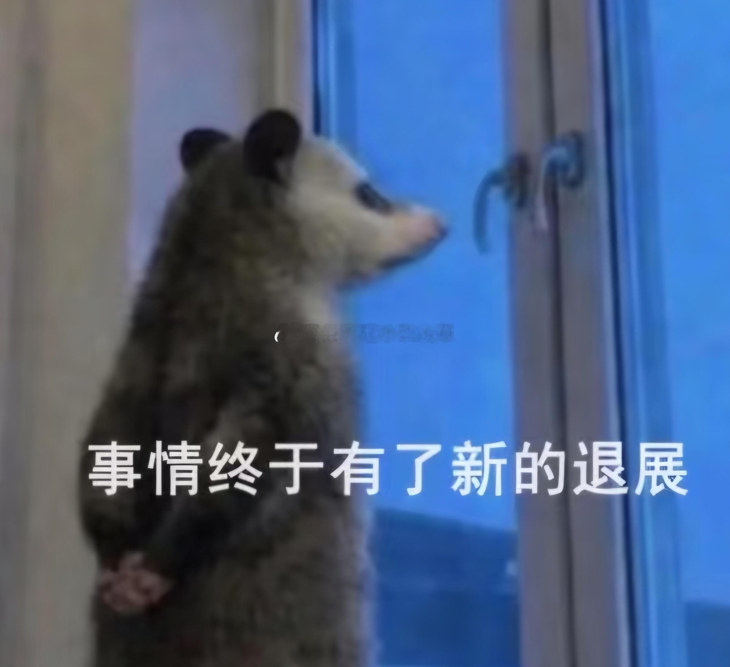 网页链接