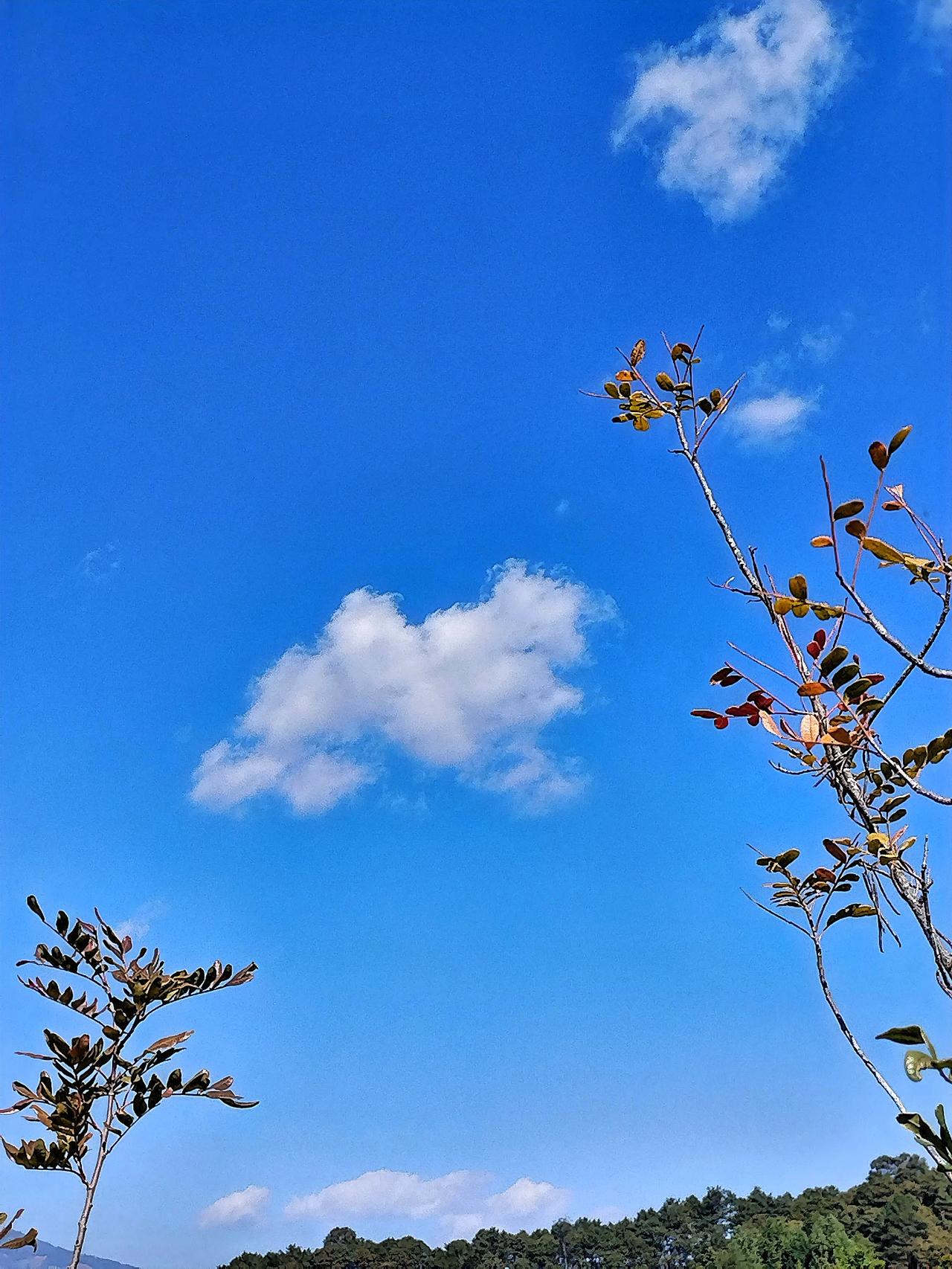蓝天白云，青山绿萃，天气真好！