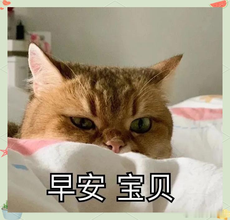 新的一天，新的机遇，见证你的奇迹；早安，靓宝们。 