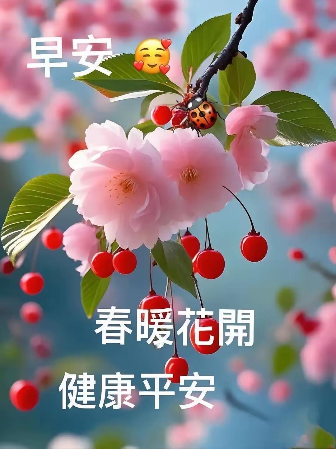 \春暖花开平安健康！