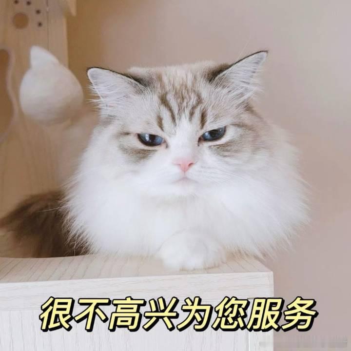 各位有没有发现，这几年的蚊子已经去掉了声模块，就是飞起来没有嗡嗡声，极其难以判断