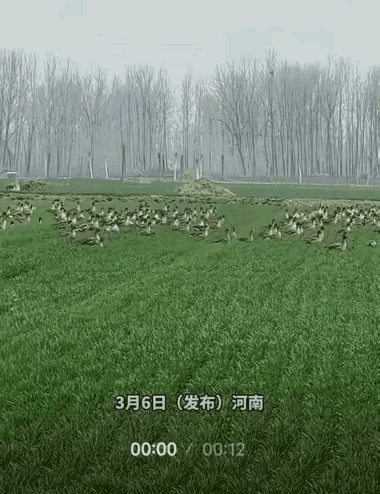 意外之喜？
 
乍一听这四个字，谁都会觉得是天上掉馅饼的美事，可放在3月6日河南