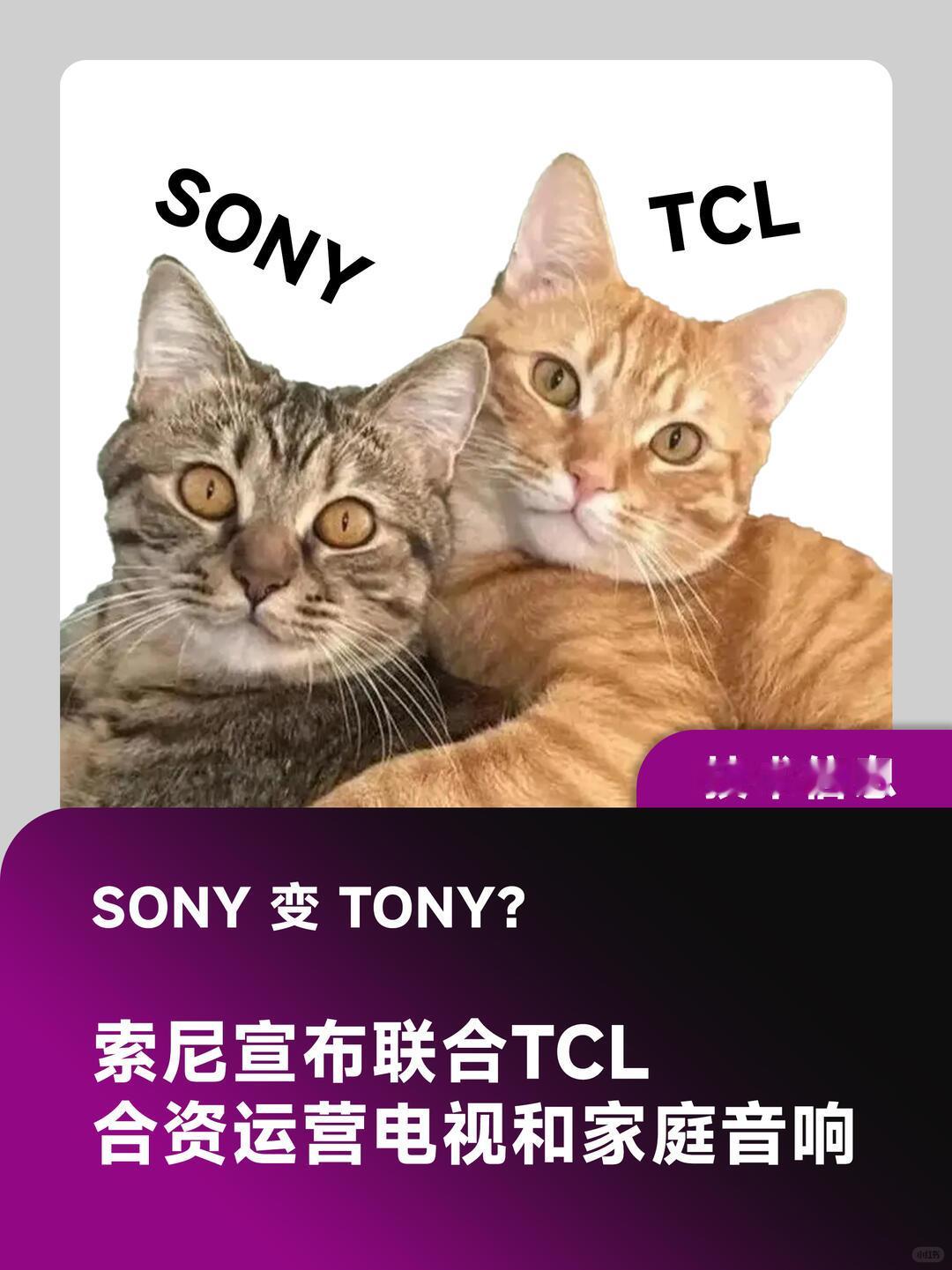 如何看待索尼电视牵手TCL所以索尼和TCL合资新公司的话，到时候生产的电视机该贴