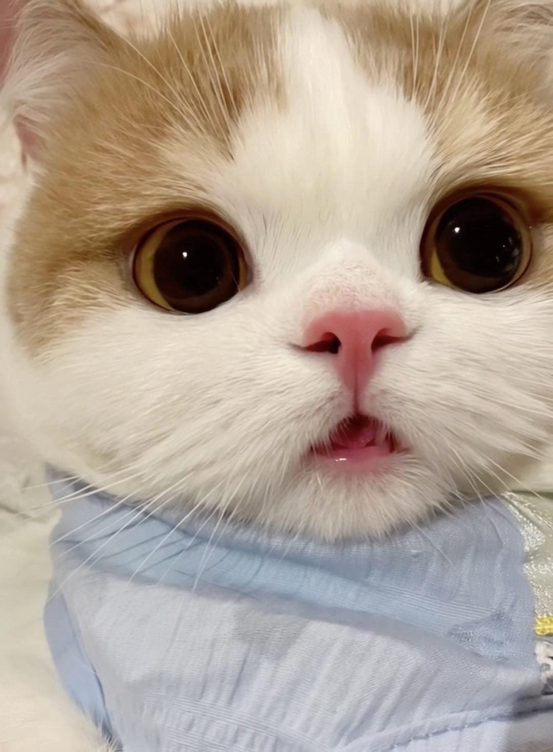 人 确定不抱抱我嘛。