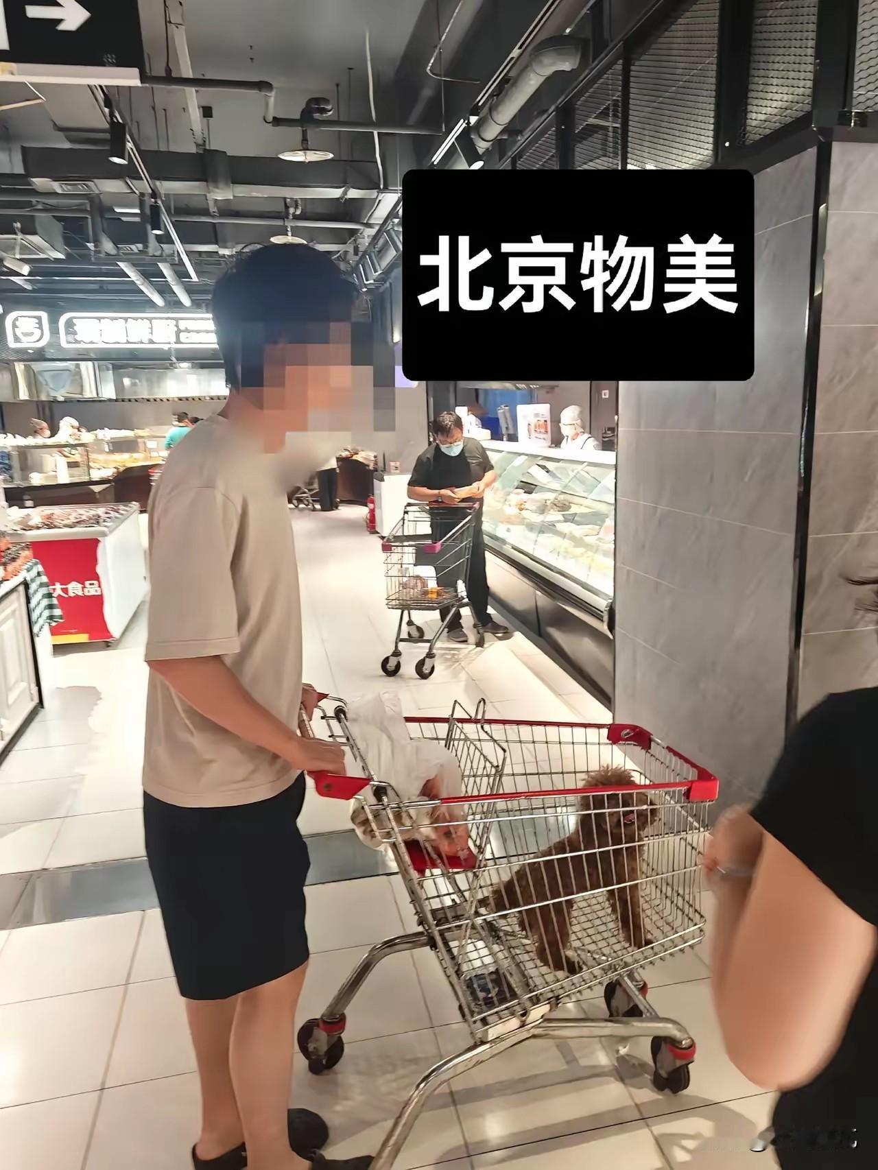 坐标北京，又碰见了某些人带狗进超市这种事，真挺不地道的。
把狗放在购物车里也不行