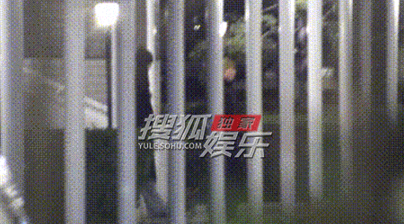 窦靖童宋妍霏又遛狗了窦靖童宋妍霏又一起遛狗 又一起遛狗了～ ​​​