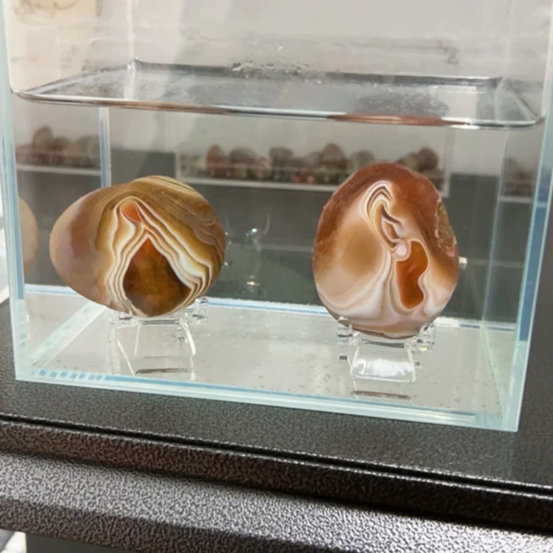 10颗好石头和1000颗一般的，选哪个？