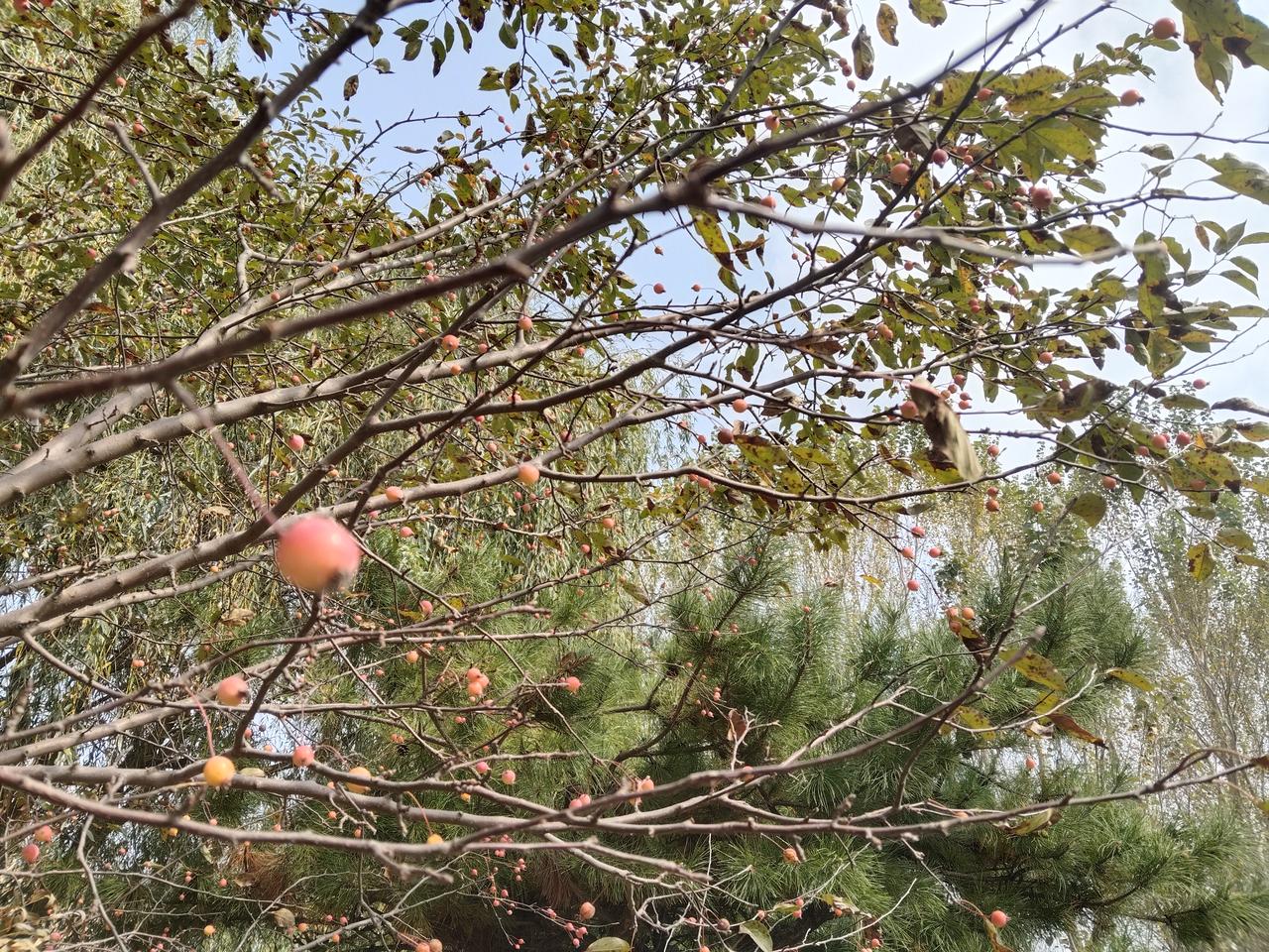 辽宁鞍山某学校在对学生进行食堂满意度调查问卷的时候， 有些学生填了“不满意”或“