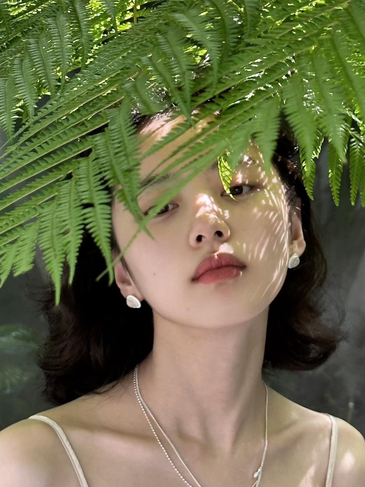 🌿 ​​​
