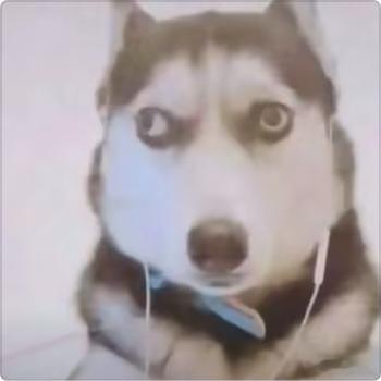 原来这个表情包头下面不是手🌚 