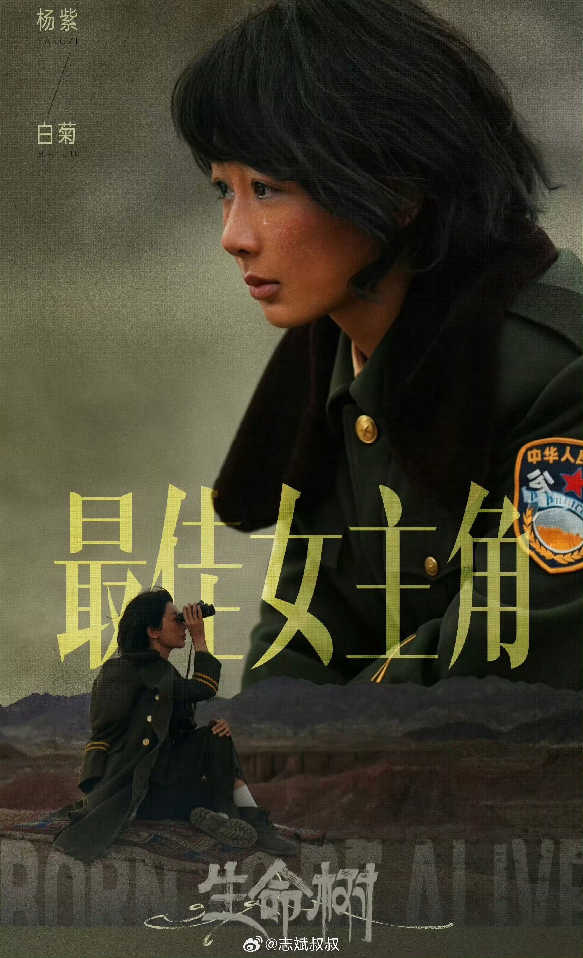 杨紫白玉兰视后杨紫绝对是实至名归！！没看过《生命树》的，赶紧都给我去看看她获奖哭