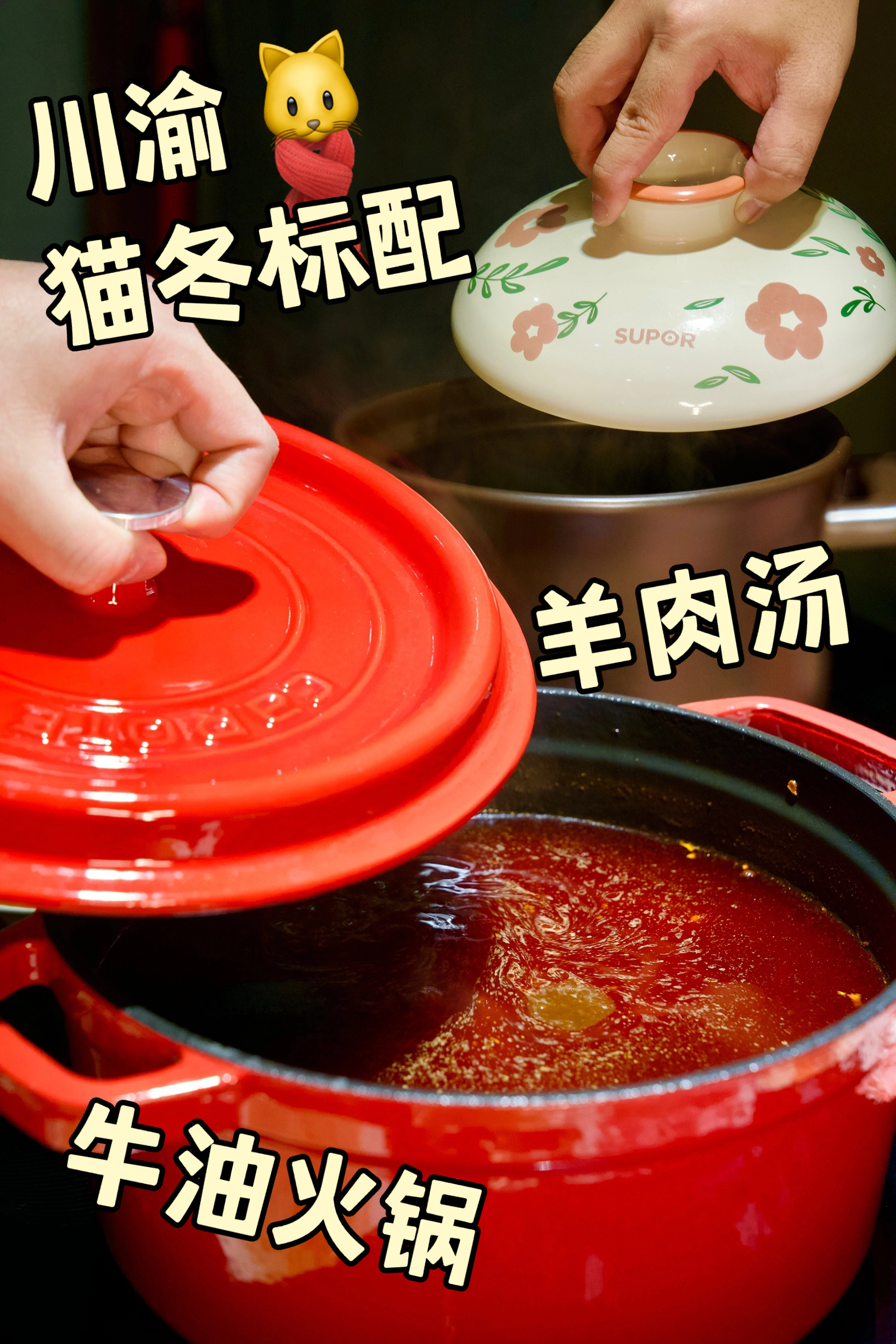 喜报！喜报！冬天来啦！i冬e族狂喜，本#猫冬人#过冬主打一个“猫着”！！我先放狠