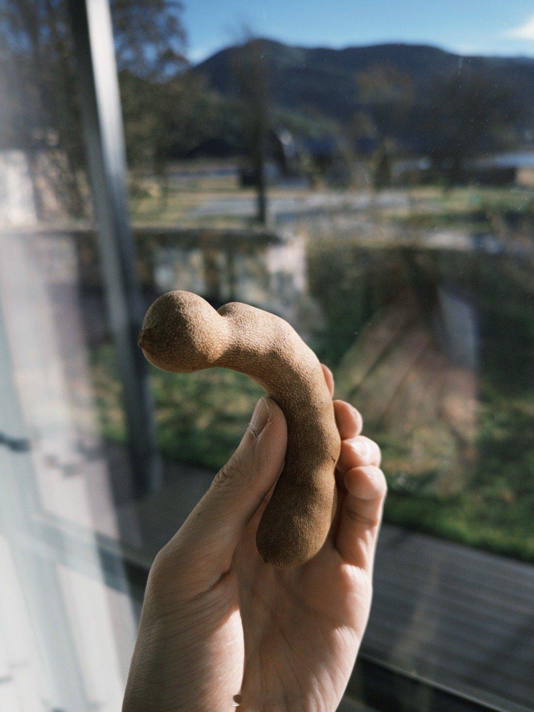 额？酒店欢迎果盘里都，这是……？  