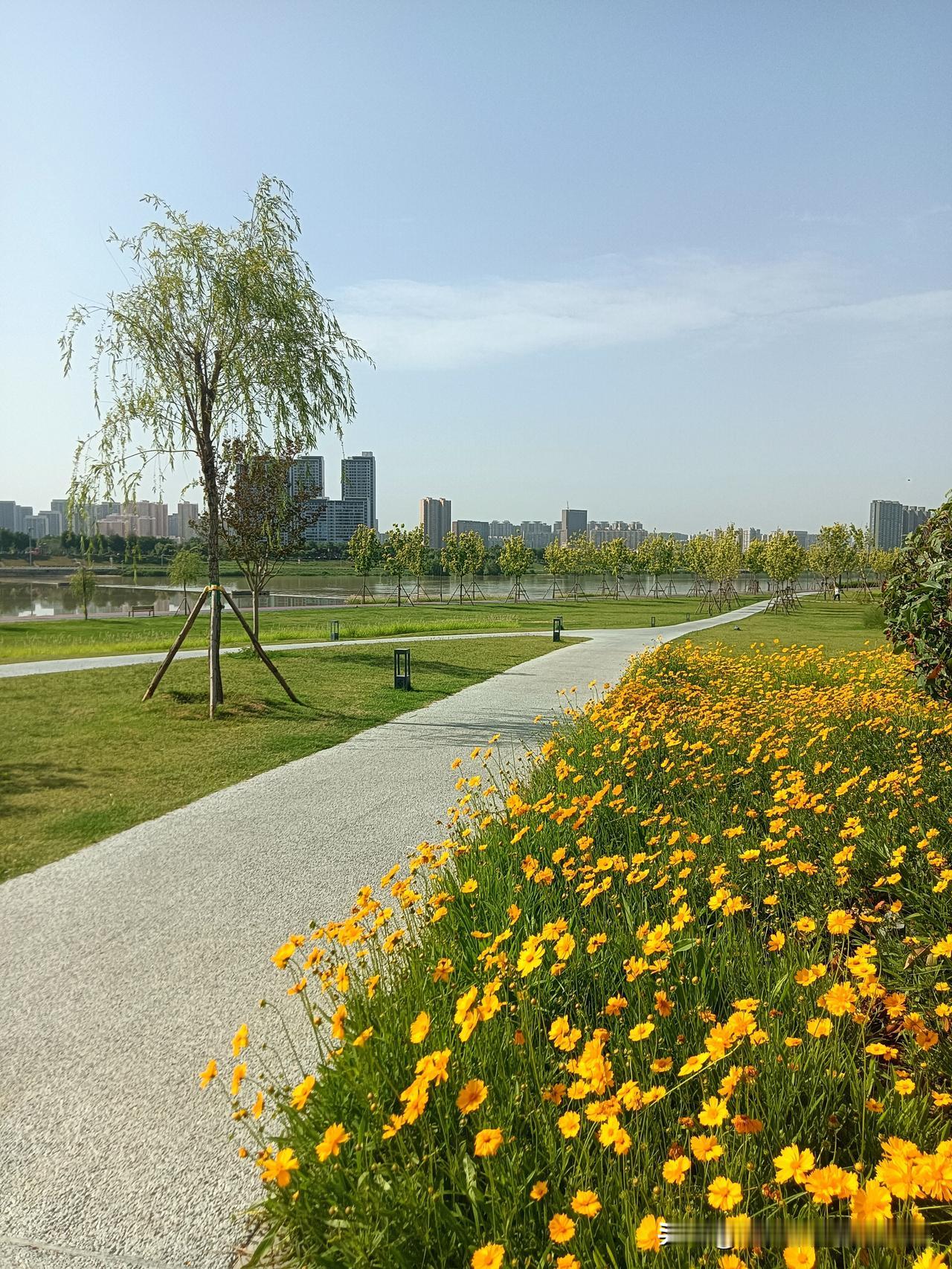 要说咸阳的钓鱼台公园，这可是依托咸阳湖景区打造的南岸风景带！今天算是个标准的高温