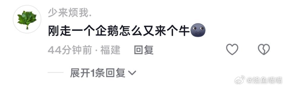 我真不行了 ​​​