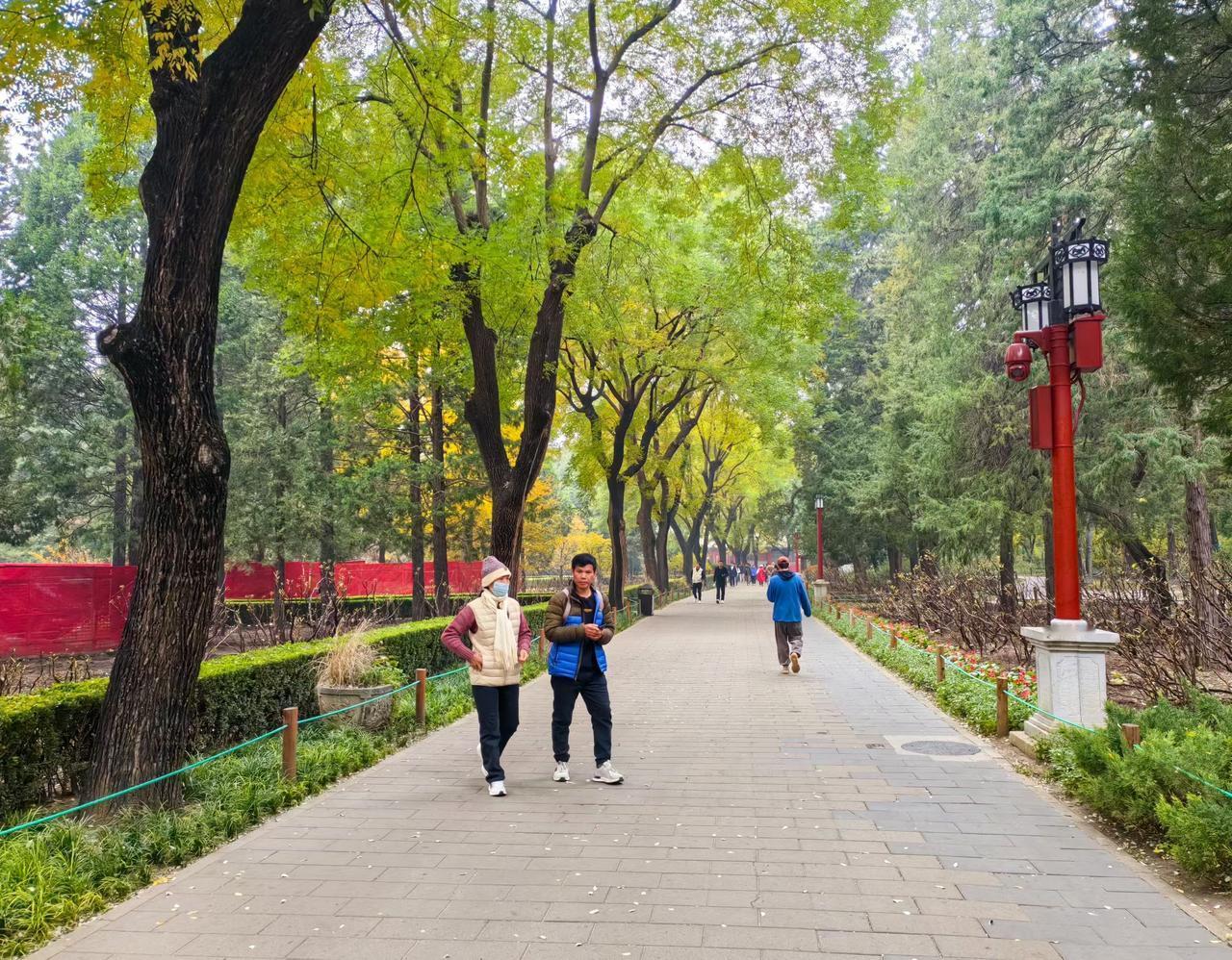 一句话让我深思，一位友友这样评论湖南医院两位医生的事：“ 世上每一个人如果都深挖