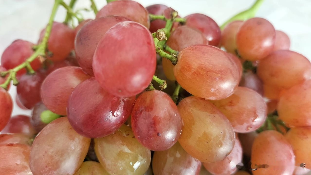 国庆假期，老家的超市之间，都快竞争疯了！

这种无籽葡萄，只要1.98元一斤（不