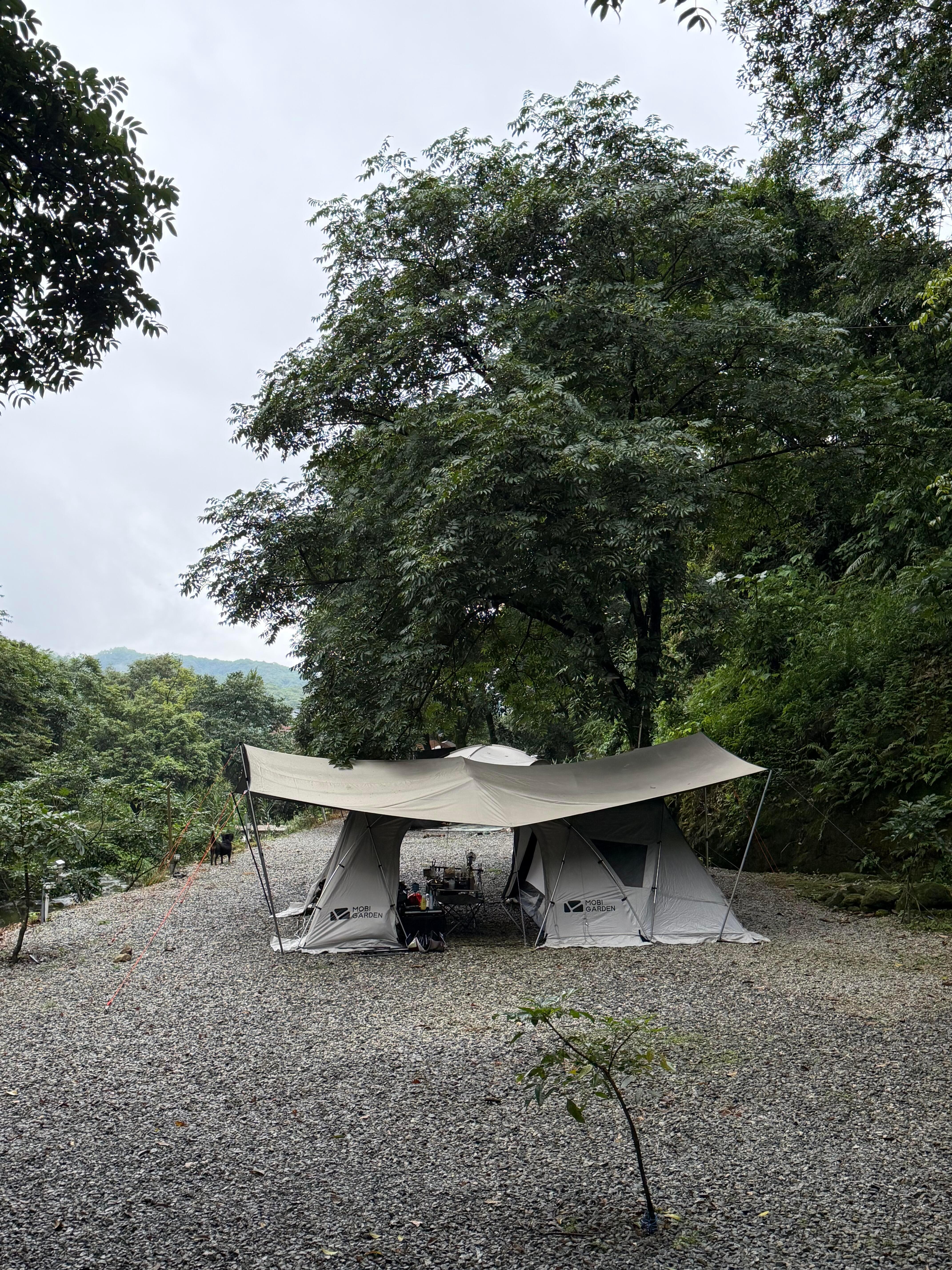 在没有天花板的地方,大口吸氧,听山里的流水,听风吹过的树叶,时间都慢了下来。 
