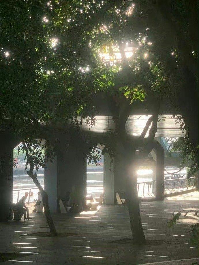 没有什么好遗憾的，我在能走的时候，去过远方；不能走的时候，安于当下。 ——沈熹微