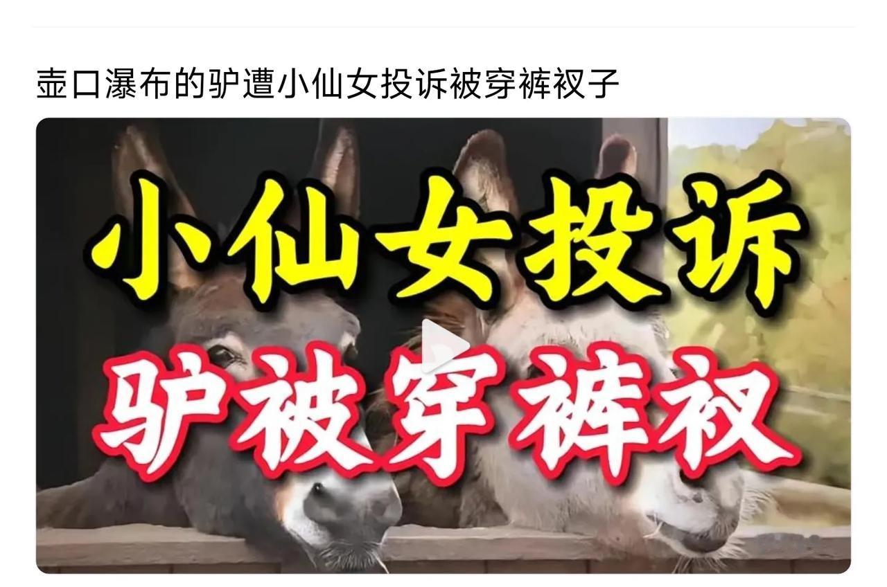 古有黔之驴，今有晋之驴