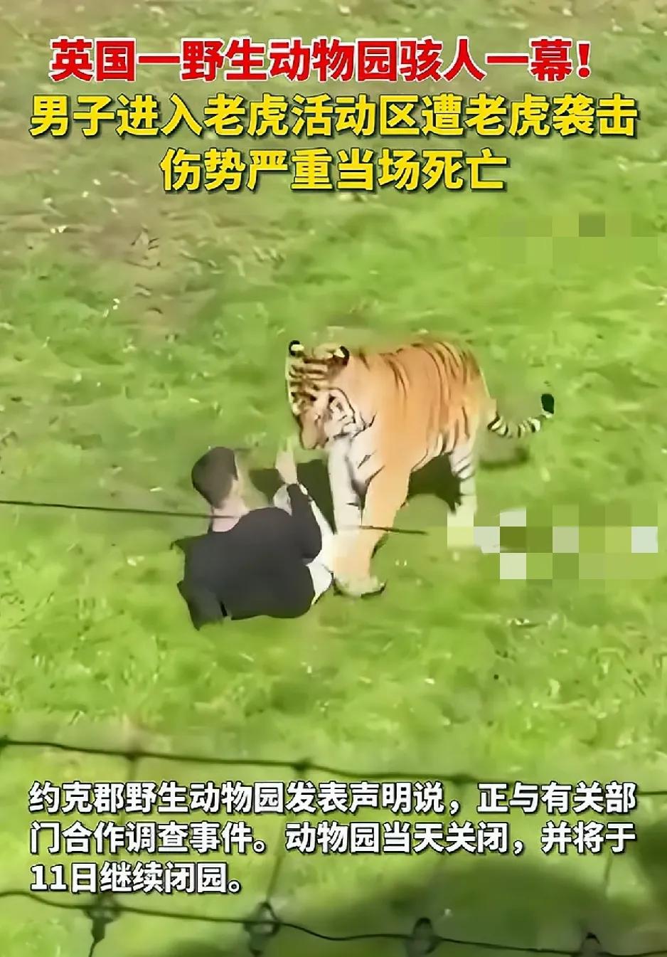 “不作不会死”。英国南约克郡唐卡斯特市郊区的约克郡野生动物园内，一名男子擅自闯入