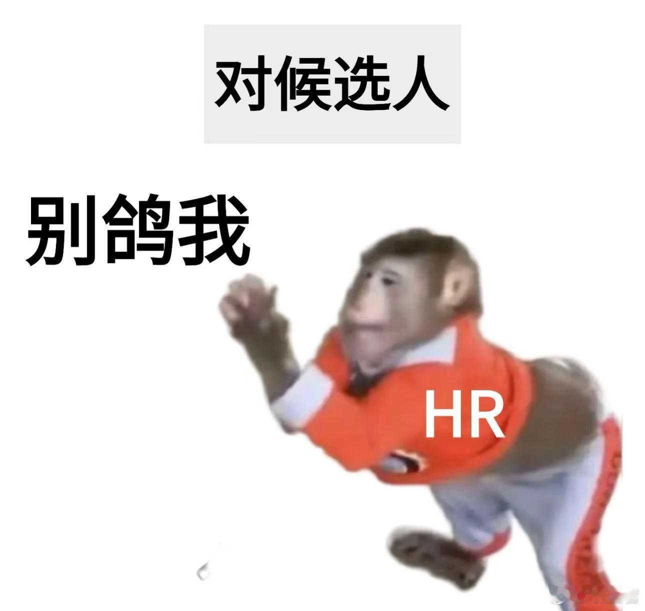 终于有人为HR发声了 邀约面试耐心解答各种问题，认真对接好所有流程，结果动不动就
