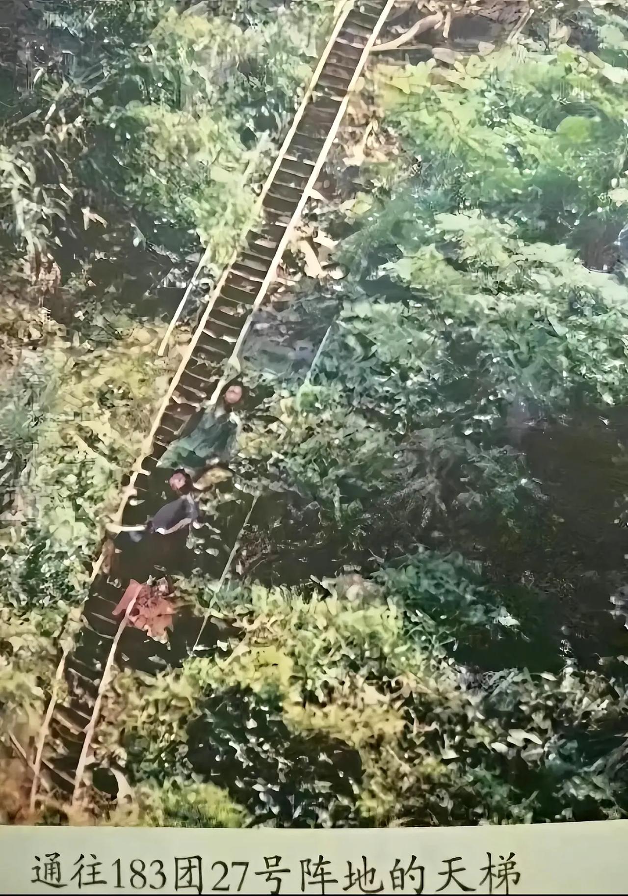 老山前线的天梯