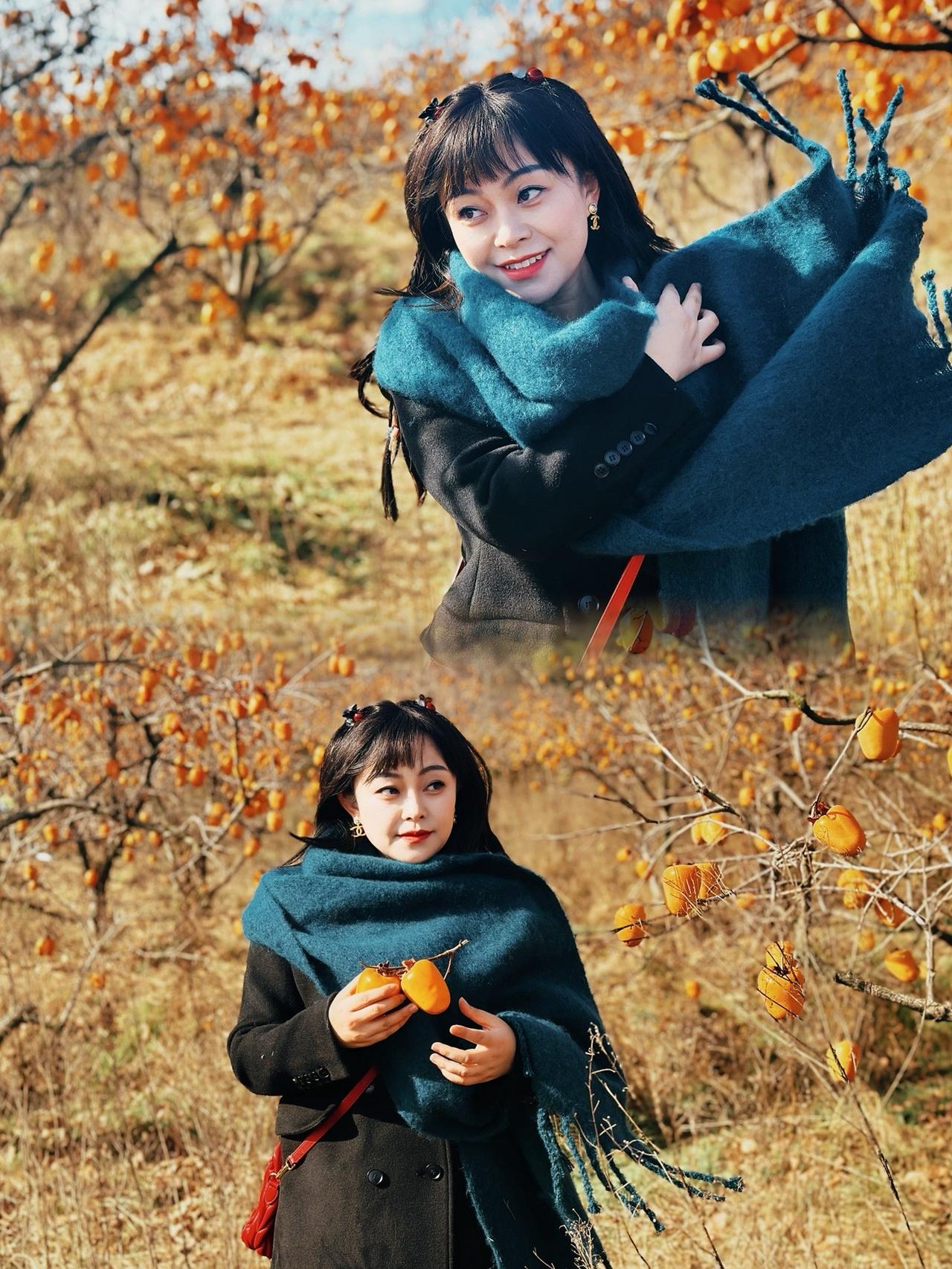 秋天落叶🍂 银杏黄了 一起来拍秋天 柿子 柿子熟了