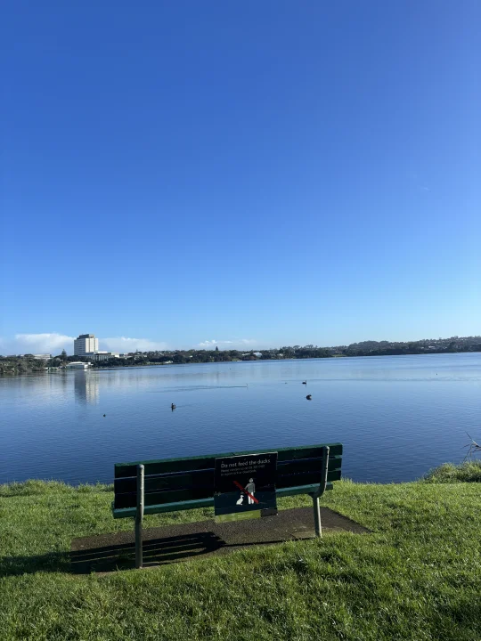 40岁辞职留学， 是我送给自己最值的奢侈品