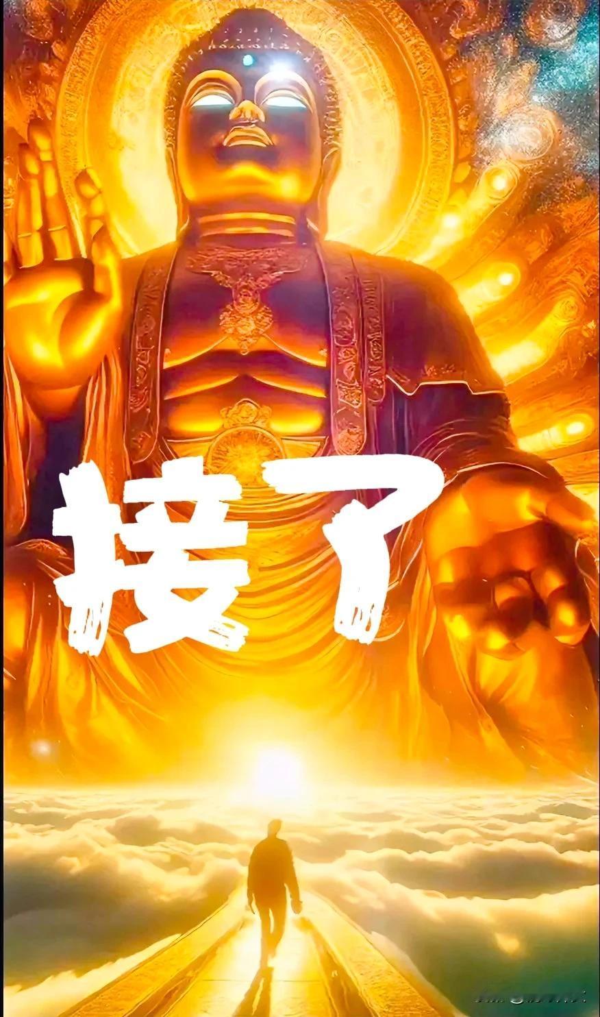 镜缘师父：佛曰：众生皆苦，唯有慈悲为怀今日回复“接了”排出烦恼，