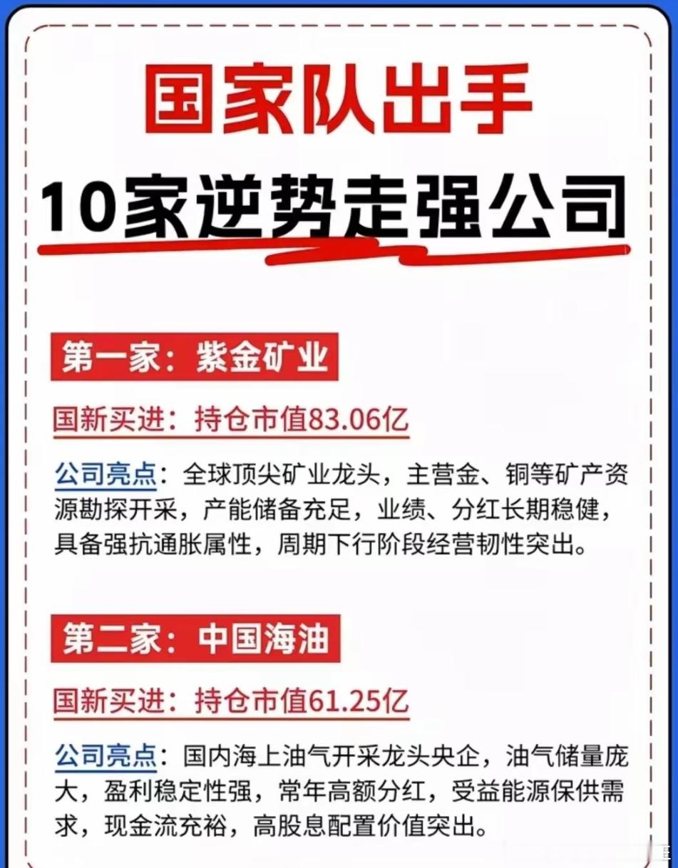 逆势布局！拆解国家队最新重仓的十家优质企业。大盘持续震荡调整，市场恐慌情绪蔓延，