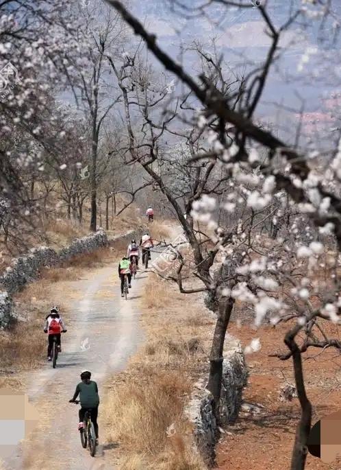 出句：山野开席来是客（雪浪）