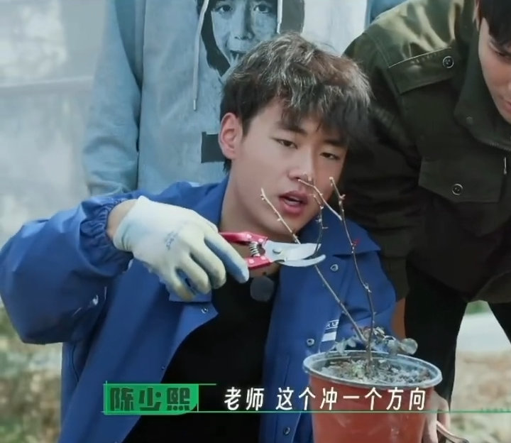 陈少熙从种地吧玫瑰棚剪到散黄的新手，到星辰大海上手剪大枝，剪枝技能直接一路升级打