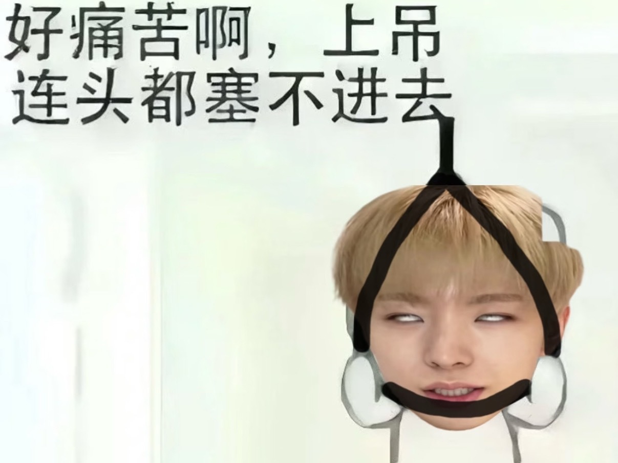 真服了这个喂食豆 这要能买到的应该是孩子想找妈妈了 