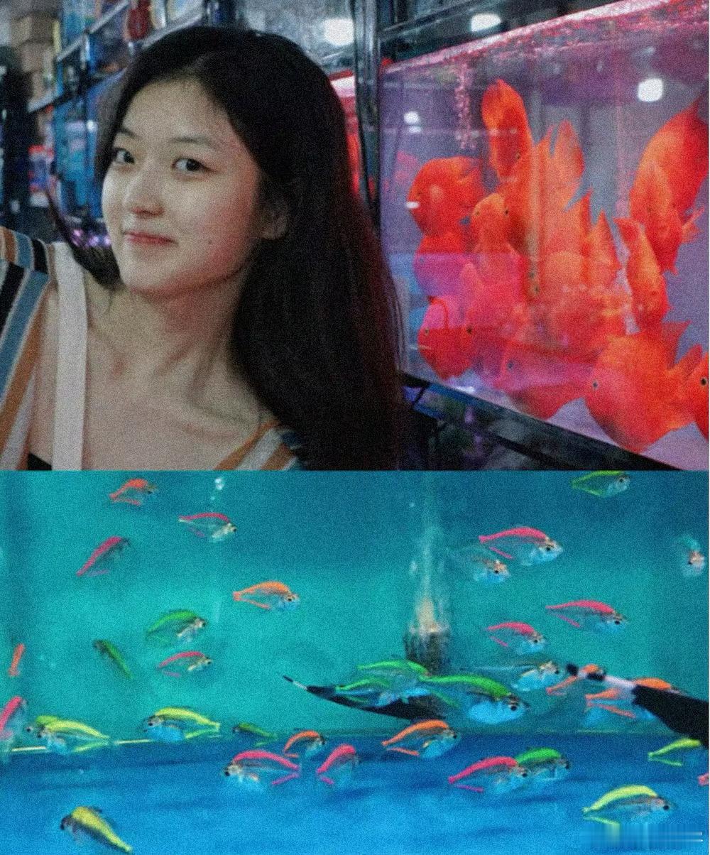 8年前的孙千考古8年前的孙千，圆圆的脸蛋好青涩 ​​​