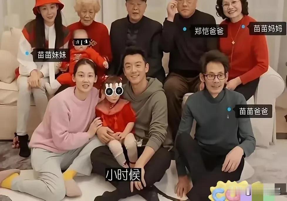 郑恺小姨子狂刷 8 万奢侈品，郑恺停岳母亲属卡，网友：他娶的不是苗苗，是他全家？
