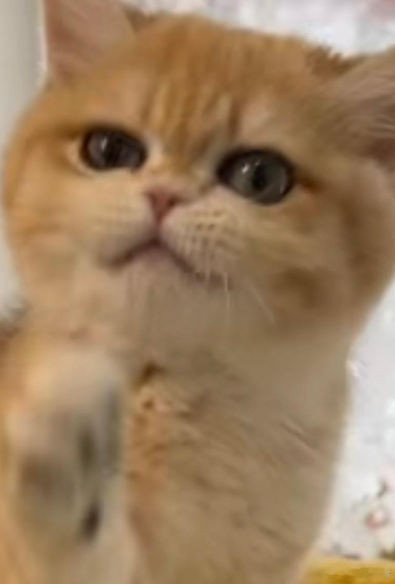 哎哟…. 